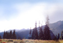 Mt. Rainier